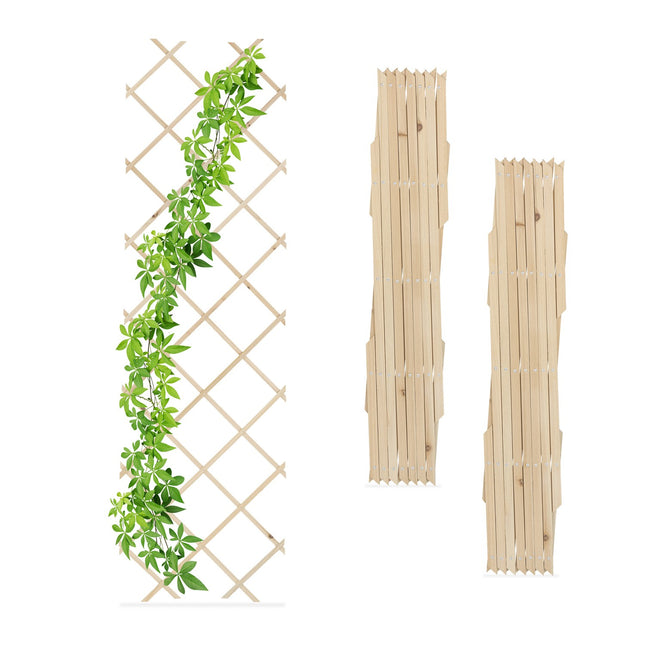 Extendable Plant Trellis Set, 180x60 cm, 3 Pack