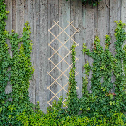 Extendable Plant Trellis Set, 180x60 cm, 3 Pack
