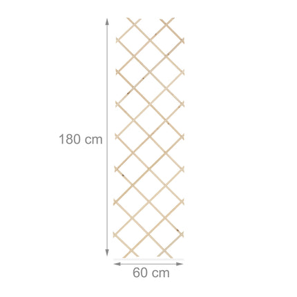 Extendable Plant Trellis Set, 180x60 cm, 3 Pack