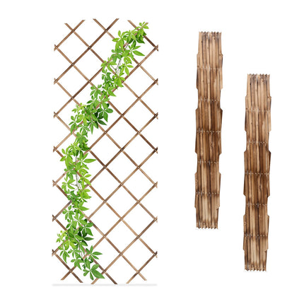 Extendable Plant Trellis Set, 180x90 cm, 3 Pack