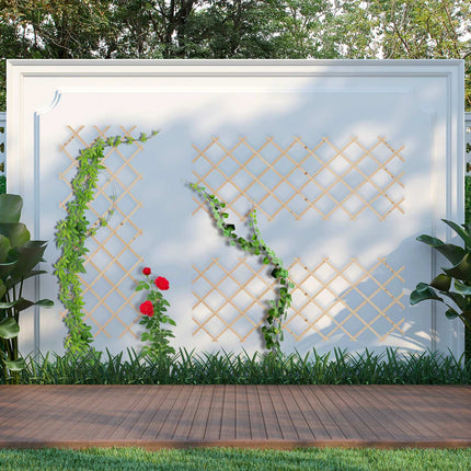 Extendable Plant Trellis Set, 180x90 cm, Wall-Mounted