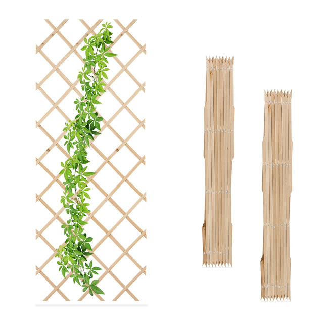Extendable Plant Trellis Set, 180x90 cm, Wall-Mounted