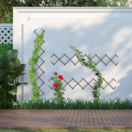 Extendable Plant Trellis Set for Climbing Plants