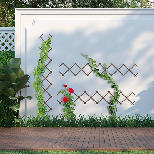 Extendable Plant Trellis Set for Climbing Plants