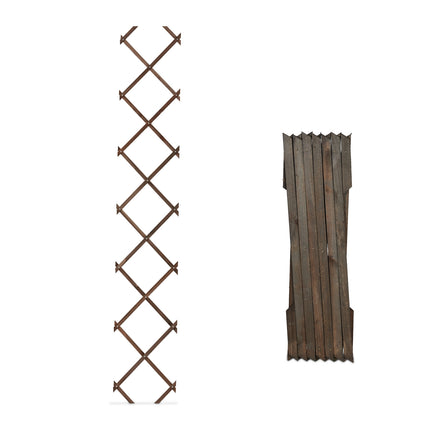 Extendable Plant Trellis Set for Climbing Plants