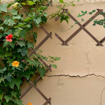 Extendable Plant Trellis Set for Climbing Plants