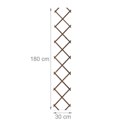 Extendable Plant Trellis Set for Climbing Plants