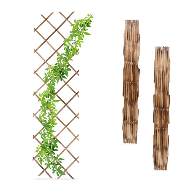 Extendable Wall Plant Trellis Set of 3, 180x60 cm