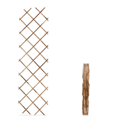 Extendable Wall Plant Trellis Set of 3, 180x60 cm