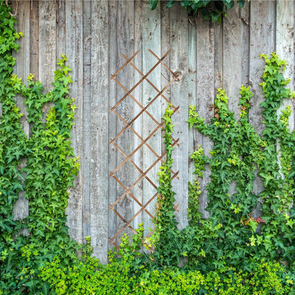 Extendable Wall Plant Trellis Set of 3, 180x60 cm