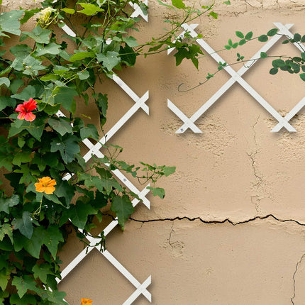 Extendable Wooden Plant Trellis Set for Climbing Plants