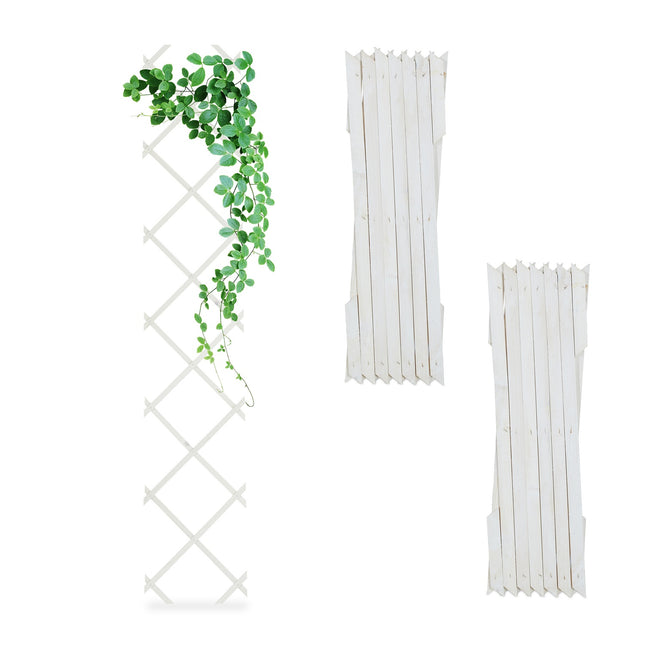 Extendable Wooden Plant Trellis Set for Climbing Plants