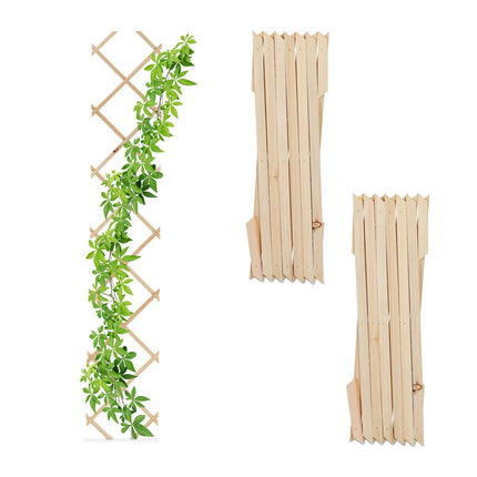 Extendable Wooden Plant Trellis Set for Climbing Plants