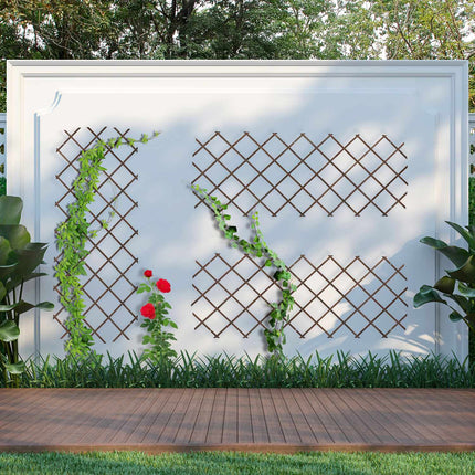 Extendable Wooden Plant Trellises Set, 180x90 cm