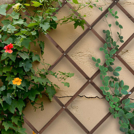 Extendable Wooden Plant Trellises Set, 180x90 cm