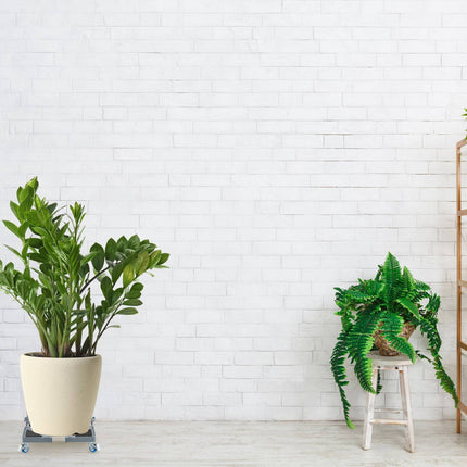Extendable square plant roller