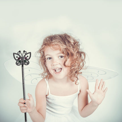 Fairy wings with wand