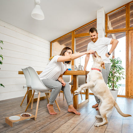 Feeding station for dogs