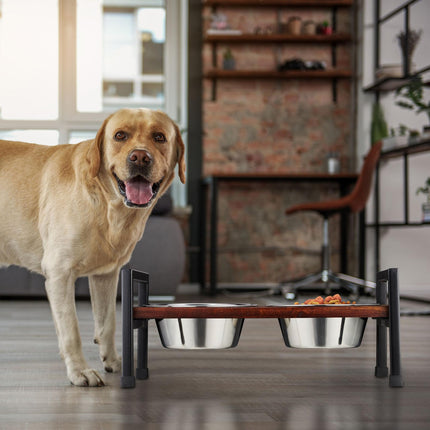 Feeding station for dogs