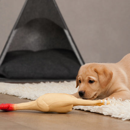 Felt dog bed