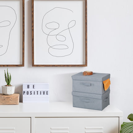 Fiber cloth storage box set of 2