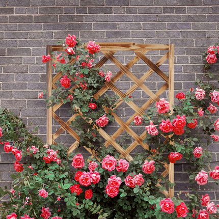 Flamed Planter Box with Trellis