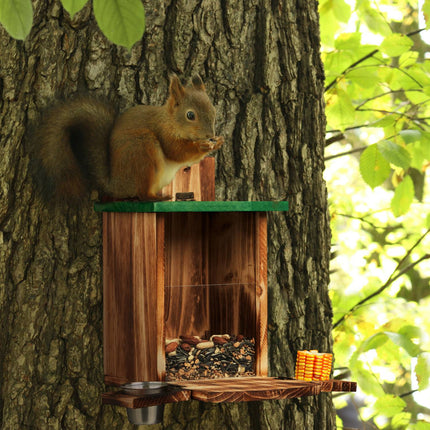 Flamed squirrel feeder