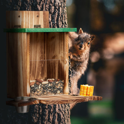 Flamed squirrel feeder