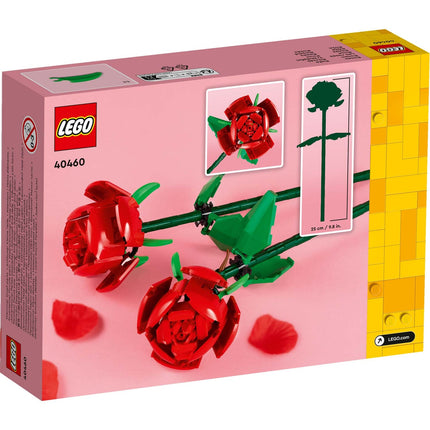Flowers - Roses 40460
