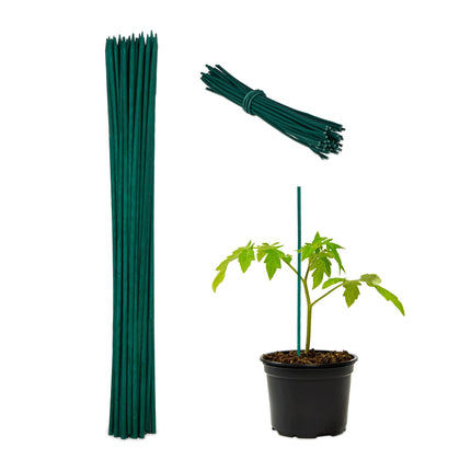 Flower sticks 30 cm in a set of 50