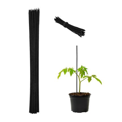 Flower sticks 60 cm in sets of 50