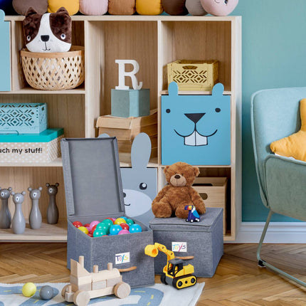 Foldable Fabric Storage Boxes with Lid, Set of 2
