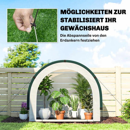 Foldable Greenhouse with PE Cover, 200 x 80 x 164 cm