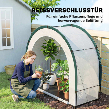 Foldable Greenhouse with PE Cover, 200 x 80 x 164 cm