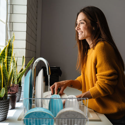 Foldable dish rack with drip tray