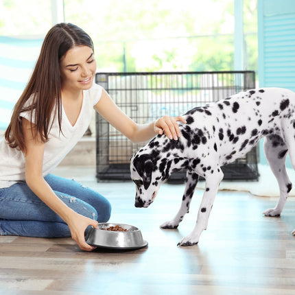 Foldable dog cage