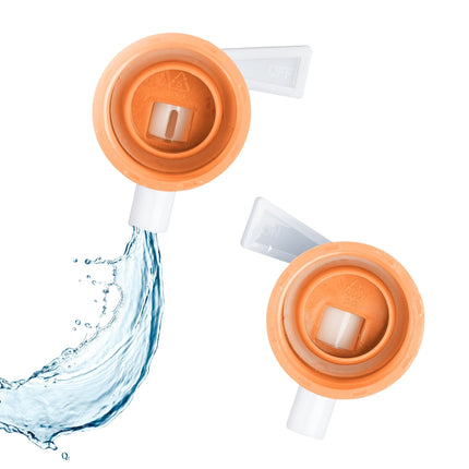 Foldable water container with 4 containers