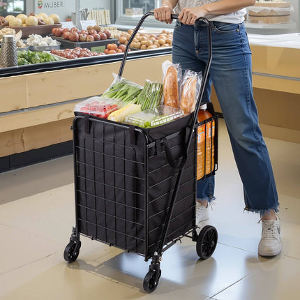 Folding Shopping Cart, Dual Baskets, 45 kg Capacity