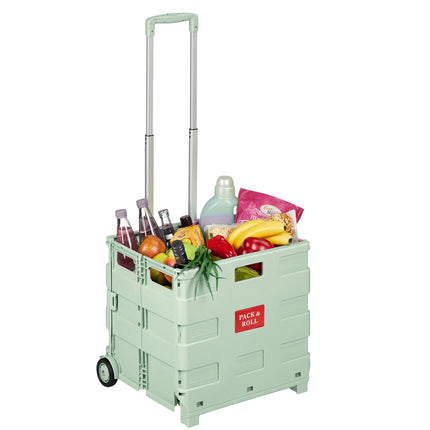 Folding Shopping Trolley with Telescopic Handle, 35kg Capacity