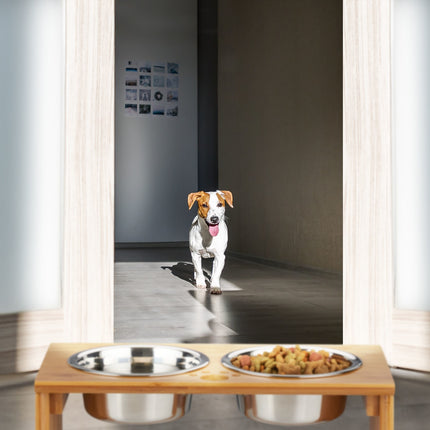 Food bowls for dogs
