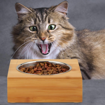 Food bowls in different designs