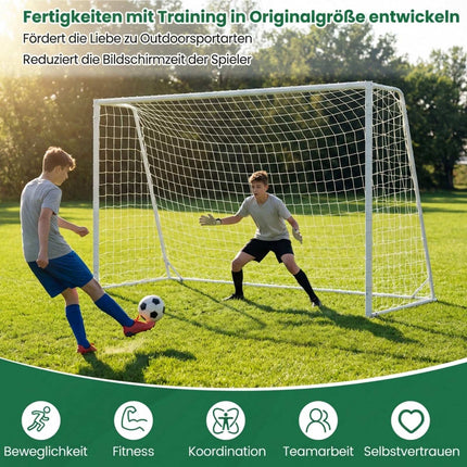 Football Goal with Sturdy Metal Frame & PE Net 300x204 cm