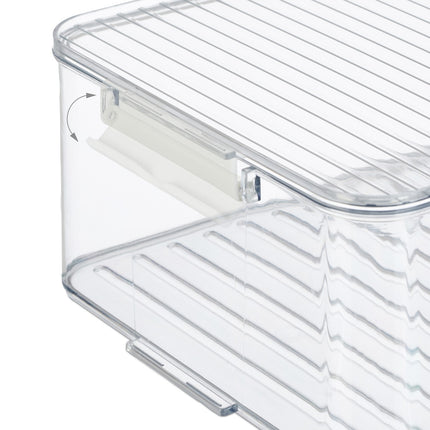 Fridge Storage Boxes with Lids, Set of 2, Date Display