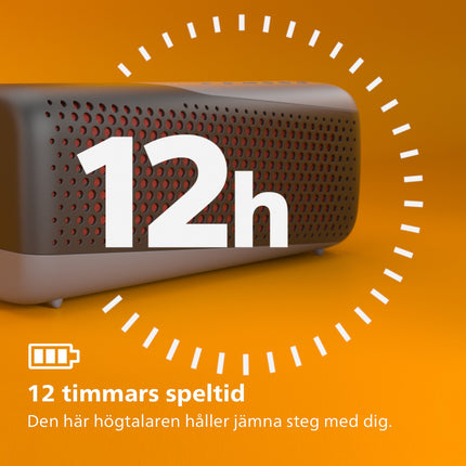 GO Wireless speaker - TAS4807 Black