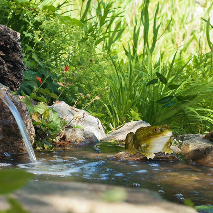 Garden Figure Frog Artificial Stone