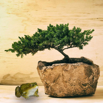 Garden Figure Frog Artificial Stone