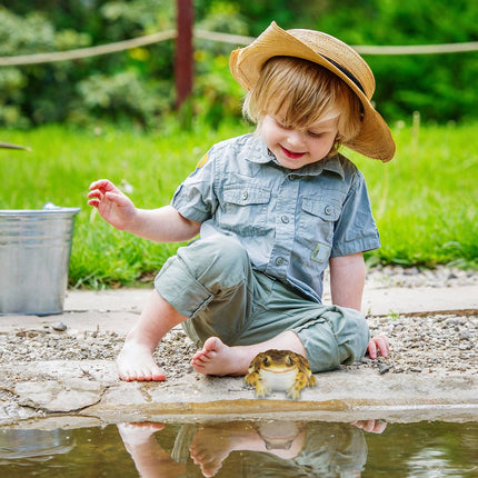 Garden Figure Frog Artificial Stone