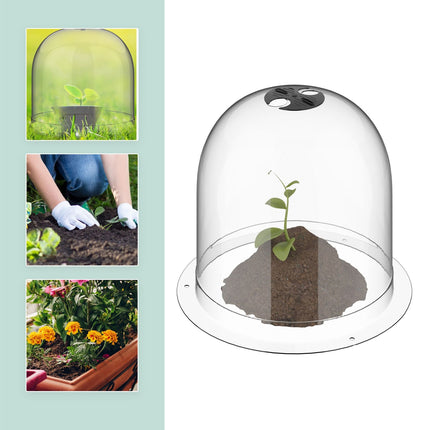 Garden Plant Cloches, Set of 10 – Pest & Weather Protection