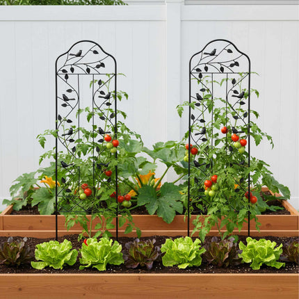 Garden Trellis, Black Steel With Leaf And Bird Motif