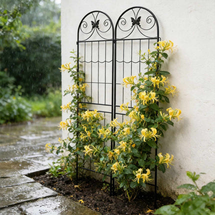 Garden Trellis Set of 4, Powder-Coated Metal Climber